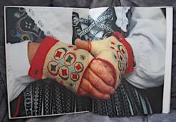 Swedish book DRAKTFOLKET by Anja Notini - Image 2