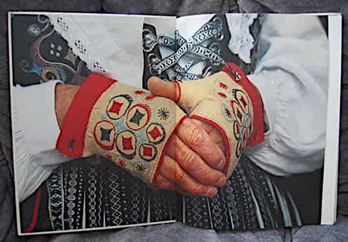 Swedish book DRAKTFOLKET by Anja Notini - Image 2